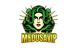 medusavip เว็บพนันยุคใหม่ที่รวมความเร็ว ความเสถียร